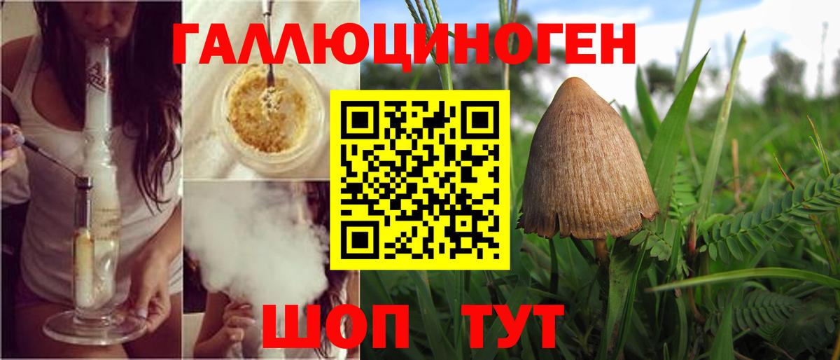 Псилоцибиновые грибы MAGIC MUSHROOMS Сибай