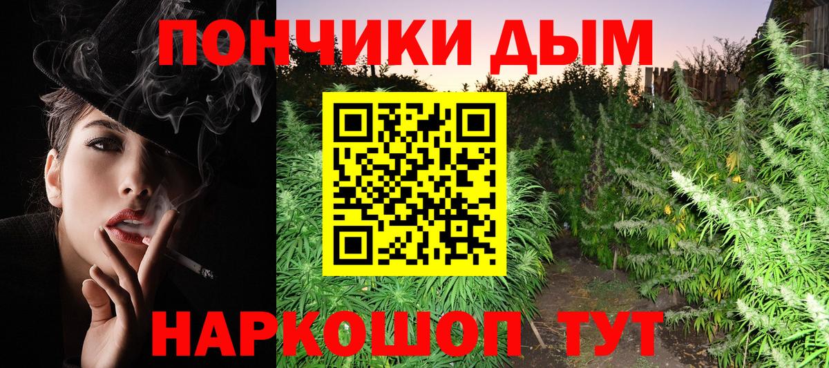 Канабис конопля  Шишки марихуана план  Сибай  Вход с VPN  Каннабис SATIVA & INDICA  Шишки марихуана гибрид 